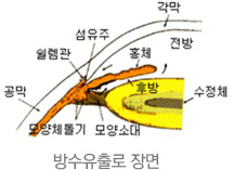 방수유출로 장면