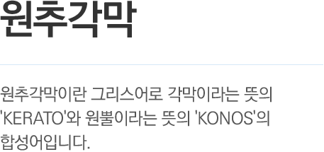 원추각막 - 원추각막이란 그리스어로 각막이라는 뜻의 'KERATO'와 원뿐이라는 뜻의 'KONOS'의 합성어입니다.