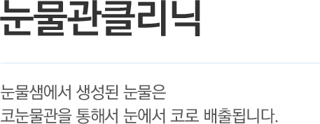 눈물관클리닉 - 눈물샘에서 생성된 눈물은 코눈물관을 통해서 눈에서 코로 배출됩니다.